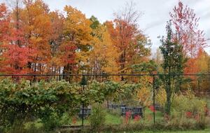 Relaxed Country Living Minutes from Lake Superior - L'Anse, Michigan