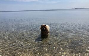 Refined Beachside Retreat with Spacious Living Near Phillip Island - Corinella, Australia