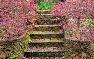Elegant Mountain Escape in Leura's Leafy Heart - Leura, Australia