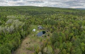 Tranquil Forest Retreat with Private Pond Access - New Portland, Maine