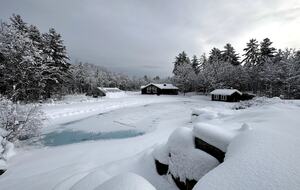 Tranquil Forest Retreat with Private Pond Access - New Portland, Maine