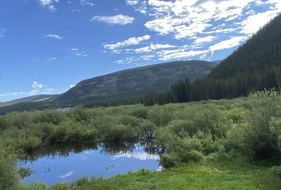 Alpine Escape with Wetland and Forest Views - Blue River, Colorado