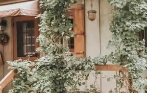 Blue Ridge Retreat in Historic Valle Crucis - Banner Elk, North Carolina