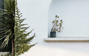 Valley Elegance on 60 Acres - Kangaroo Valley, Australia