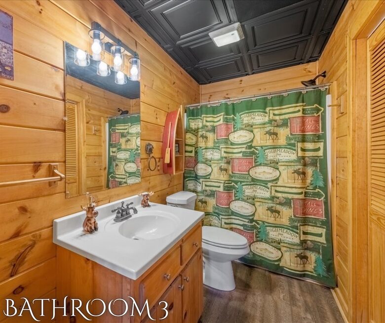 Scenic Ridge-Top Retreat with Designer Interiors & Endless Entertainment - Blue Ridge, Georgia