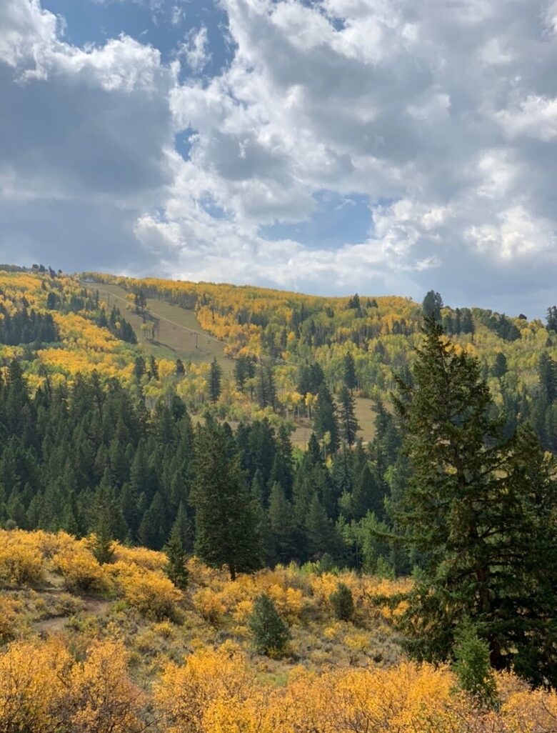 Ski-In/Ski-Out Mountain Comfort in Arrowhead Village - Edwards, Colorado