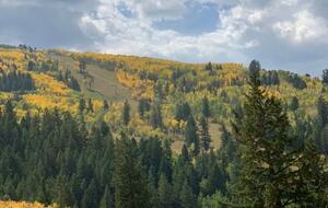 Ski-In/Ski-Out Mountain Comfort in Arrowhead Village - Edwards, Colorado