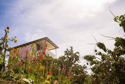 Flora Farms - The Lofts at Flora - 2 Bedroom - San Jose del Cabo, Mexico