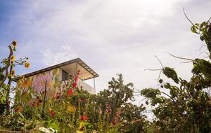 Flora Farms - The Lofts at Flora - 2 Bedroom - San Jose del Cabo, Mexico