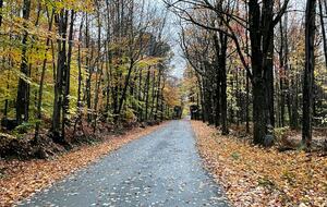 Timeless Charm on 14 Private Acres in Montgomery - Montgomery, Vermont