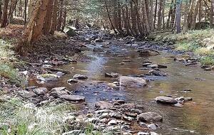 Timeless Charm on 14 Private Acres in Montgomery - Montgomery, Vermont