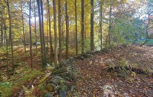 Timeless Charm on 14 Private Acres in Montgomery - Montgomery, Vermont