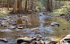 Timeless Charm on 14 Private Acres in Montgomery - Montgomery, Vermont