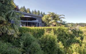 Peaceful Bush Retreat with Water Views - Rotorua, New Zealand