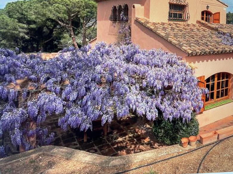Villa St Joseph - Calonge i Sant Antoni, Spain