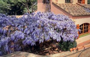 Villa St Joseph - Calonge i Sant Antoni, Spain