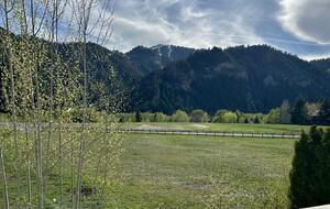 View outside Living room