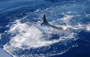 Ancora Private Residence - Yacht Club and Marina - Punta Cana, Dominican Republic