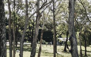 The Homestead at Bundara Farm - Berry, Australia