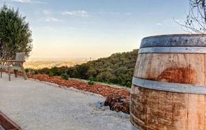 Illumination Ridge: visit Paso Robles in Style! - Paso Robles, California