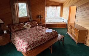 Elegant Big Bear Retreat on 2 Private Acres - Big Bear, California