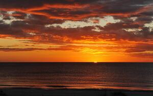 Gulf Coast of Florida - on the Beach - Indian Shores, Florida