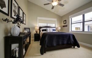 Gulf Coast of Florida - on the Beach - Indian Shores, Florida