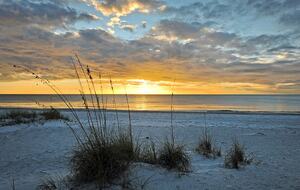 Gulf Coast of Florida - on the Beach - Indian Shores, Florida