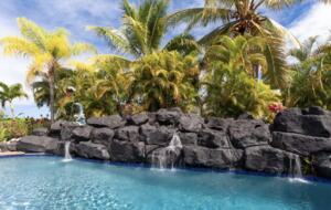 Kona House of Palms - Kailua, Hawaii