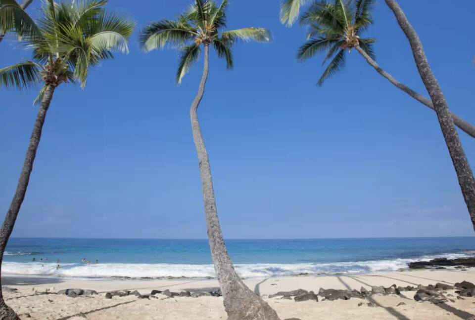 Kona House of Palms - Kailua, Hawaii