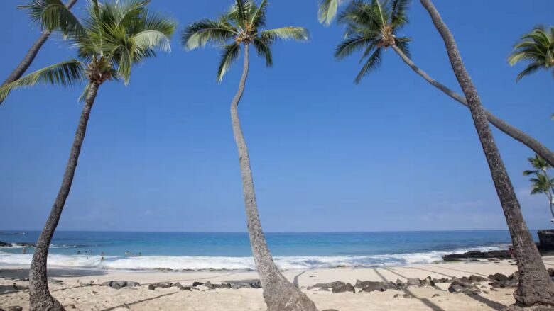 Kona House of Palms - Kailua, Hawaii