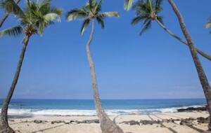 Kona House of Palms - Kailua, Hawaii