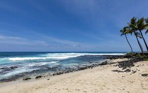 Kona House of Palms - Kailua, Hawaii