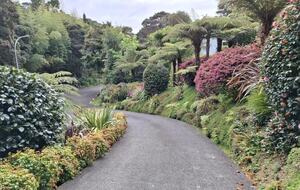 Garden Hideaway in the Heart of Paihia - Paihia, New Zealand