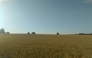 Elegant 18th-Century Restored Barn with Pool in Rural France - Verrieres, Champniers, France