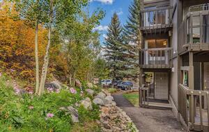 Alpine Charm with Direct Ski-In Access and Mountain Views - Snowmass Village, Colorado