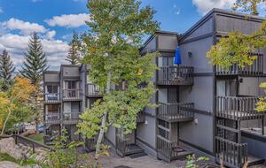 Alpine Charm with Direct Ski-In Access and Mountain Views - Snowmass Village, Colorado