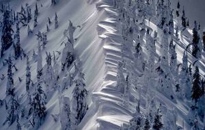 Cozy Mountain Escape 10 minutes from Powder Mountain Ski Resort! - Eden, Utah