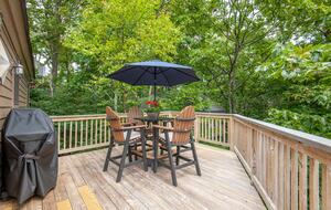 Three Ridges View Cabin - Wintergreen Resort, Virginia