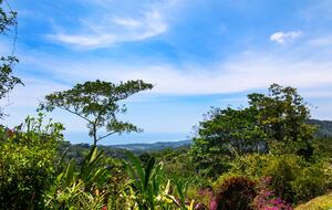 Jungle Elegance with Sweeping Ocean Views - Lagunas, Costa Rica