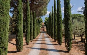 Villa San Marco - Cortona - Arezzo, Italy