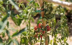 Villa San Marco - Cortona - Arezzo, Italy