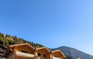 Spacious and charming with terrace and garden - Troistorrents, Switzerland