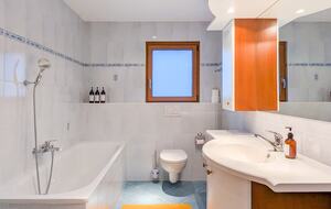 Spacious and charming with terrace and garden - Troistorrents, Switzerland