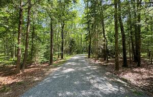 Contemporary Woodland Retreat Near Jim Thorpe - Jim Thorpe, Pennsylvania