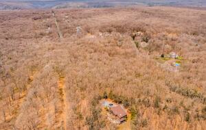 Contemporary Woodland Retreat Near Jim Thorpe - Jim Thorpe, Pennsylvania