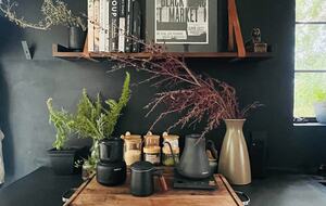 Elevated Living Amidst Nature’s Calm - Topanga, California