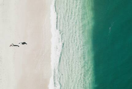 Oceanview Elegance in Costa Rica’s Premier Beachfront Resort - Brasilito, Costa Rica