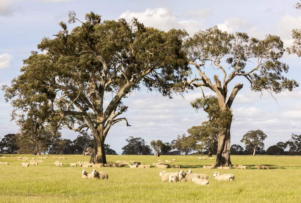 Premier Western Victoria Private Residence - Yulecart, Australia