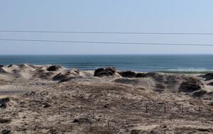 Ocean Views and Wild Horses | A Secluded Corolla Retreat - Corolla, North Carolina